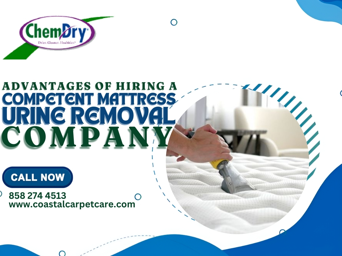 Advantages Of Hiring a Competent Mattress Urine Removal Company