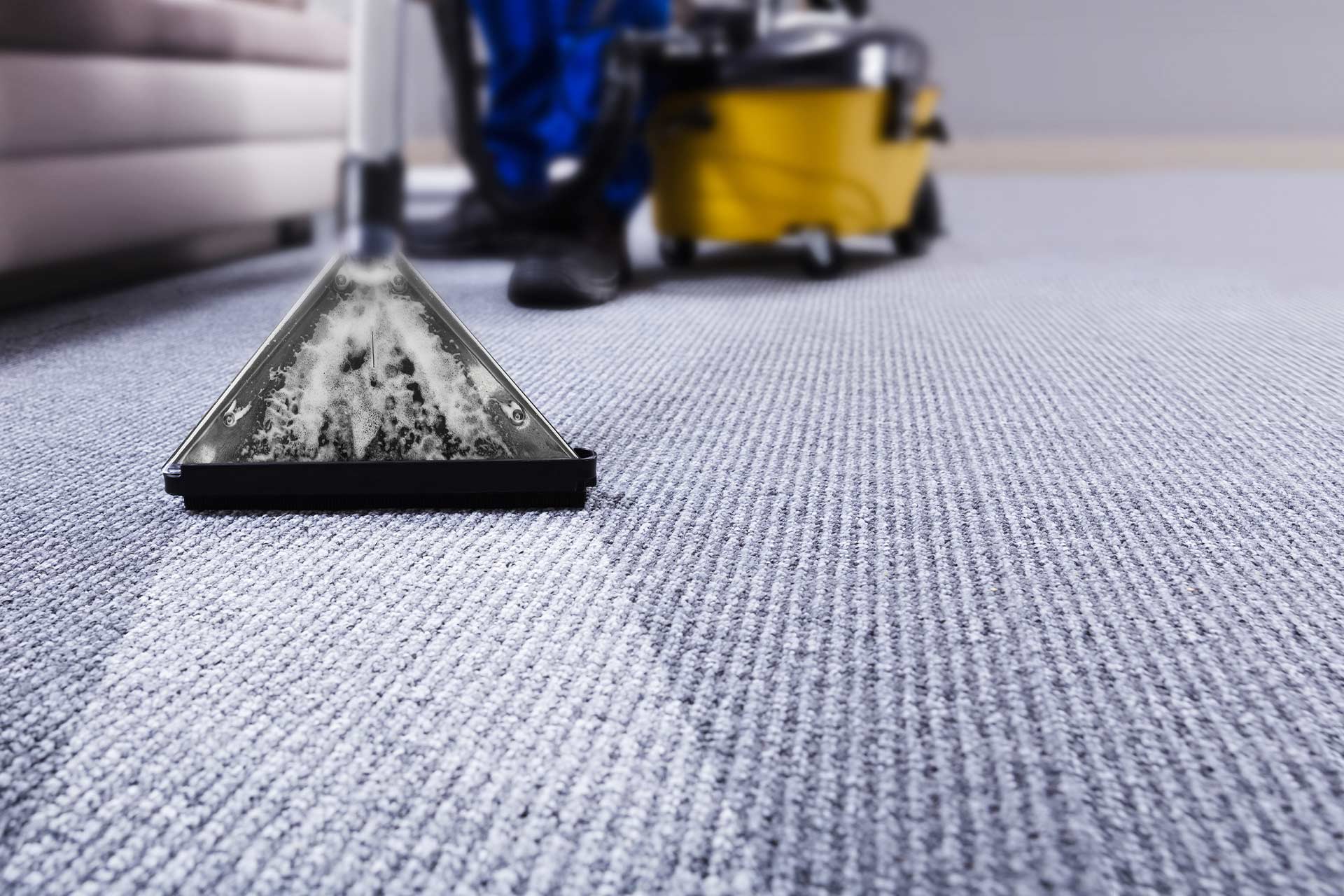 Transform Your Home’s Appearance with Expert Carpet Cleaning Services